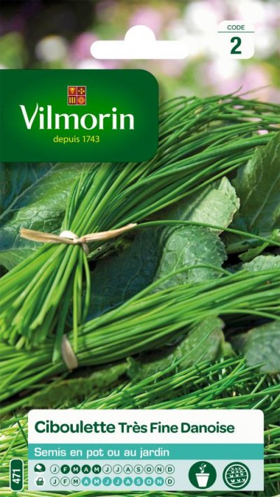 VILMORIN  3410445 Pack de Graines Ciboulette Tr&egrave;s Fine Danoise