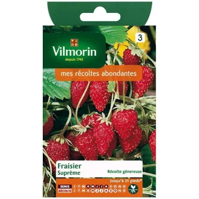 VILMORIN  3585042 Pack de Graines Fraisier 4 Saisons Supr&ecirc;me