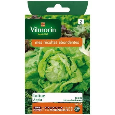 VILMORIN  3600142 Pack De Graines Laitue Pomm&eacute;e Appia