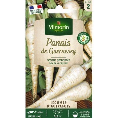 VILMORIN  3771242 Pack de Graines Panais de Guernesey