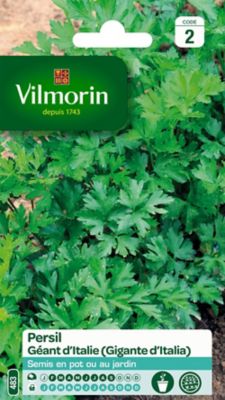 VILMORIN  3790542 Pack De Graines Persil Commun G&eacute;ant D'Italie