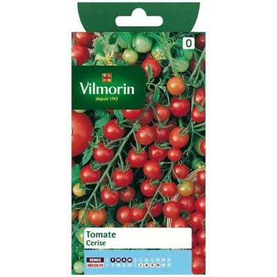 VILMORIN  3974040 Tomate Cerise, Rouge, 90 x 2 x 160 cm