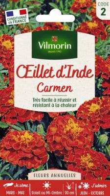 VILMORIN  5441142 &OElig;illet, Rouge, 90 x 2 x 160 cm