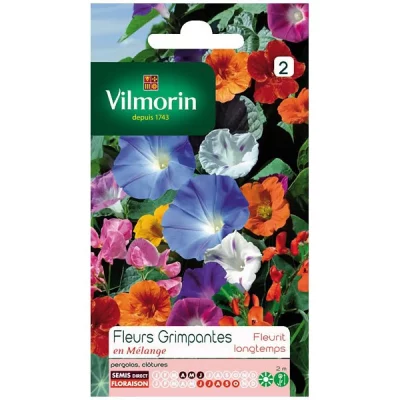 VILMORIN  5860642 Pack De Graines Fleur Grimpante