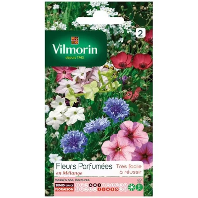 VILMORIN  5862942 Fleur parfum&eacute;e, Multicolore, 90 x 2 x 160 cm