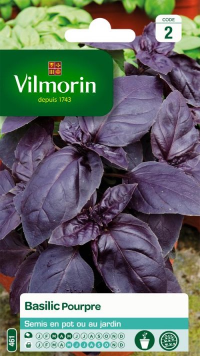 VILMORIN  5873046 Pack de Graines Basilic Pourpre