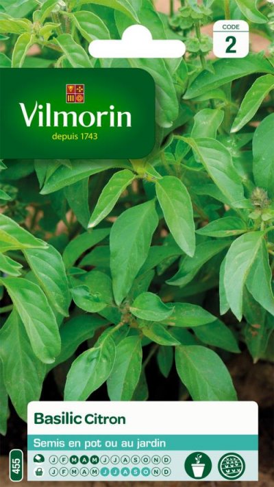 VILMORIN  5873342 Pack de Graines Basilic Citron