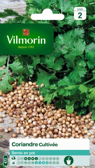 VILMORIN  5875046 Pack de Graines Coriandre Cultiv&eacute;e