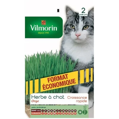 VILMORIN  5876839 Herbe &agrave; Chat orge, Vert, 11 x 1.5 x 19 cm