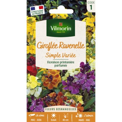 VILMORIN  Girofl&eacute;e Ravenelle simple vari&eacute;e