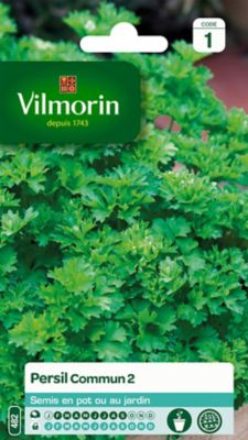 VILMORIN  - Persil Commun 2 officinal