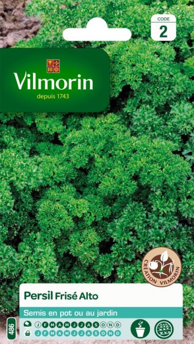 VILMORIN  Persil frise Alto Cr&eacute;ation 