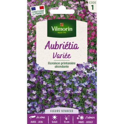 VILMORIN  - Sachet graines Aubrietia vari&eacute;