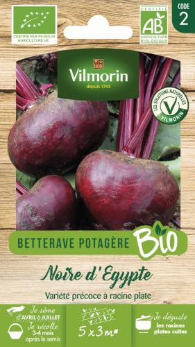 VILMORIN  - Sachet graines Betterave Noire d'Egypte BIO - Beta vulgaris