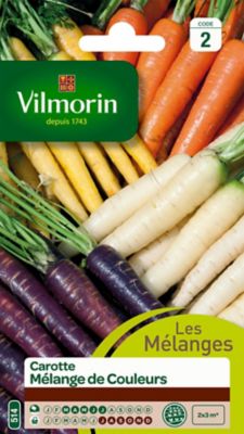 VILMORIN  - Sachet graines Carottes m&eacute;lange de couleurs