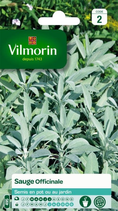 VILMORIN  Sachet graines de Sauge Officinale