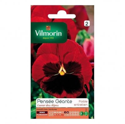 VILMORIN  Sachet graines Pens&eacute;e g&eacute;ante Lueur des Alpes