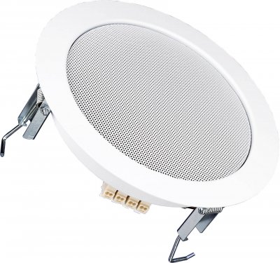 VISATON  DL 18/1 100 V - Haut-parleur - 6 Watt - RAL 9016