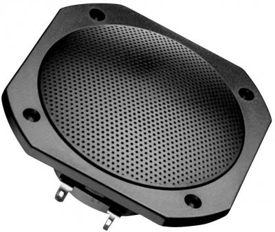 VISATON  FRS 10 WP 8 OHM - Enceinte - Noir
