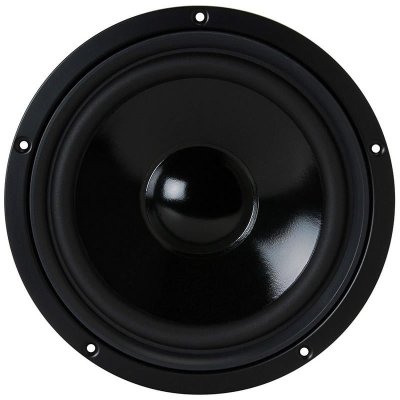 GENERIQUE Visaton VS-W200S/8 - Hauts-parleurs (1.0 canaux, 75 W, 33 &ndash; 6000 Hz, 8 Ohm, Noir)