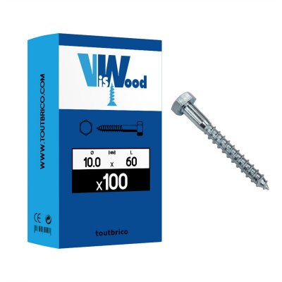 VISWOOD  4011060 Boite de 100 pc - vis bois th din 571 ac zn bl 10.0 x 60, Multicolore