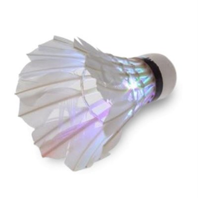 GENERIQUE Volant &agrave; plumes d'oie avec led pour badminton