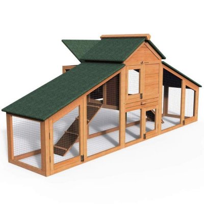 VOUNOT  Poulailler en Bois XL avec Pondoir et Perchoir