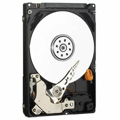 WESTERN DIGITAL WD AV-25 WD5000LUCT - disque dur - 500 Go - SATA 3Gb/s