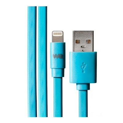 WE  - C&acirc;ble Lightning - Lightning m&acirc;le pour USB m&acirc;le - 1 m - bleu - plat