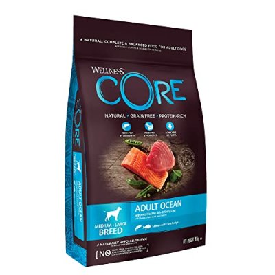 WELLNESS CORE  croquettes pour chien adulte de race moyenne Ocean - 10Kg au saumon et au thon