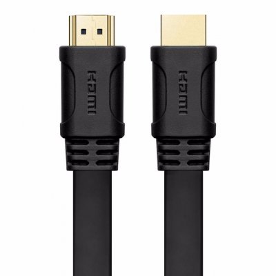 EWENT Wentronic C&acirc;ble HDMI High Speed avec Ethernet 2m (Import Allemagne)