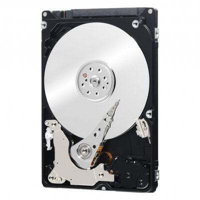 WESTERN DIGITAL  WD Black Mobile 500 Go