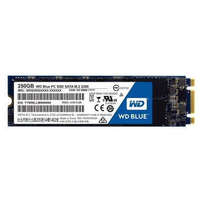 SANDISK Western Digital WD Blue SSD interne M.2 250 Go - SATA 6 Gbit/s 2,5