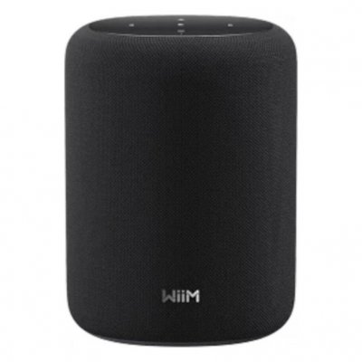 WIIM  Sound Lite, Enceinte Intelligente Multi-pièce sans Fil, Noir