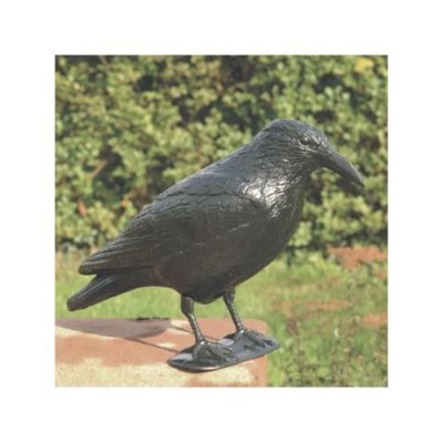 GENERIQUE Windhager anti-nuisibles figurine corbeau