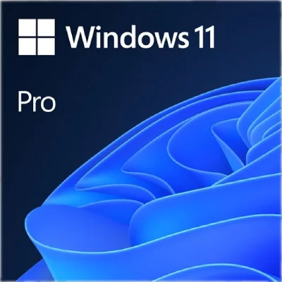 MICROSOFT Windows 11 Pro - Licence perp&eacute;tuelle - 1 poste - A t&eacute;l&eacute;charger