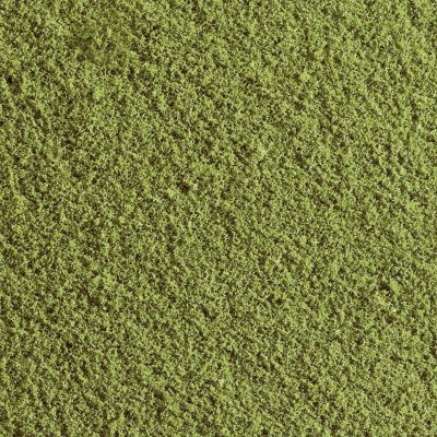 GENERIQUE Woodland Scenics Flocage Prairie WT45 Vert Moyen 50 g