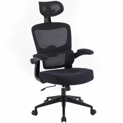 WOXTER  Ergo Black - Chaise de Bureau/Bureau, Ergonomique, Couleur Noire