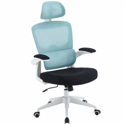 WOXTER  Ergo Chaise de Bureau Ergonomique Bleu