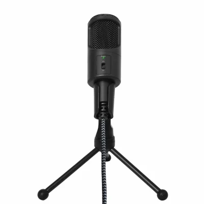 WOXTER  Studio 50 Microphone Argent&eacute;