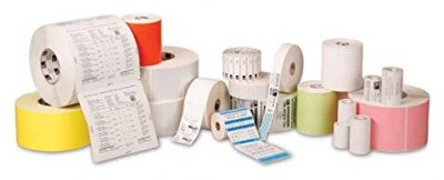 ZEBRA TECHNOLOGIES Zebra Z-Band Direct Pediatric - bracelets - 250 unit&eacute;s