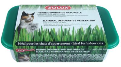 ZOLUX  - Herbe &agrave; chat d&eacute;purative naturelle