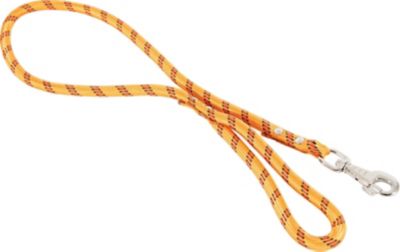  Zolux Laisse en Nylon Corde pour Chien Orange 1,20 m 13 mm