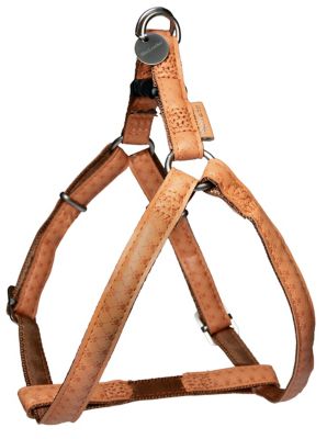  Zolux Mac Leather Harnais R&eacute;glable pour Chien Jaune 10 mm