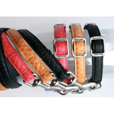 ZOLUX  Mac Leather Laisse pour Chien Jaune 15 mm