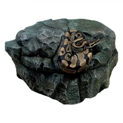 ZOOMED Zoo Med RC-32 Repti Abri 3 en 1 Cave pour reptiles et amphibiens LG, L, 30 cm