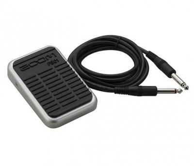 ZOOM  FS-01 Controleur Au Pied Footswitch - controleurs